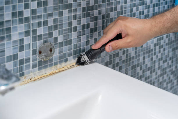 Best Black Mold Remediation in Bell, CA